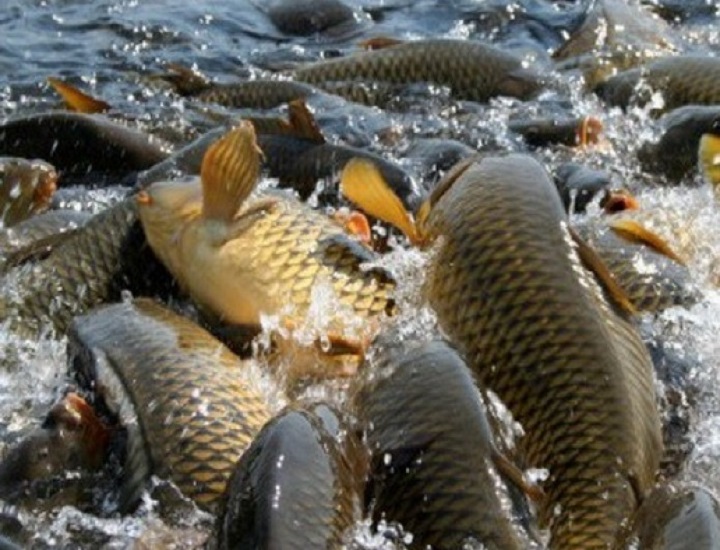 21082024-ovlangan-balik_p90254