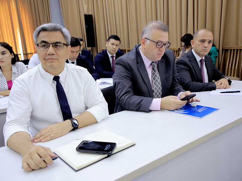 7_7j1a6453-06_08_2024-kukvoerap_p64416