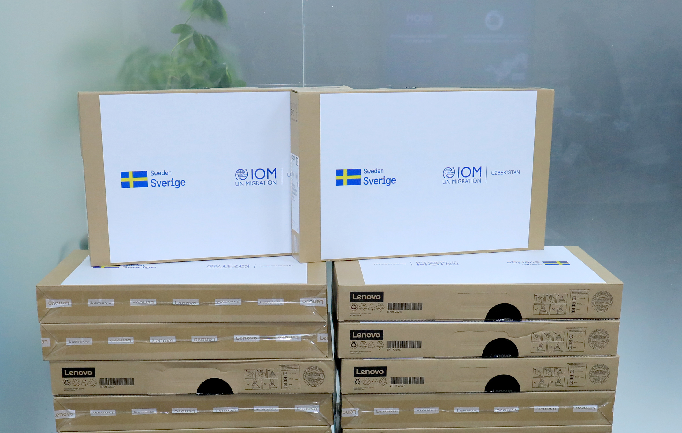 7b5a9384-copy_p69333