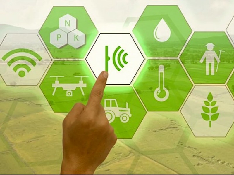 agriculture_digital-economy_p80470