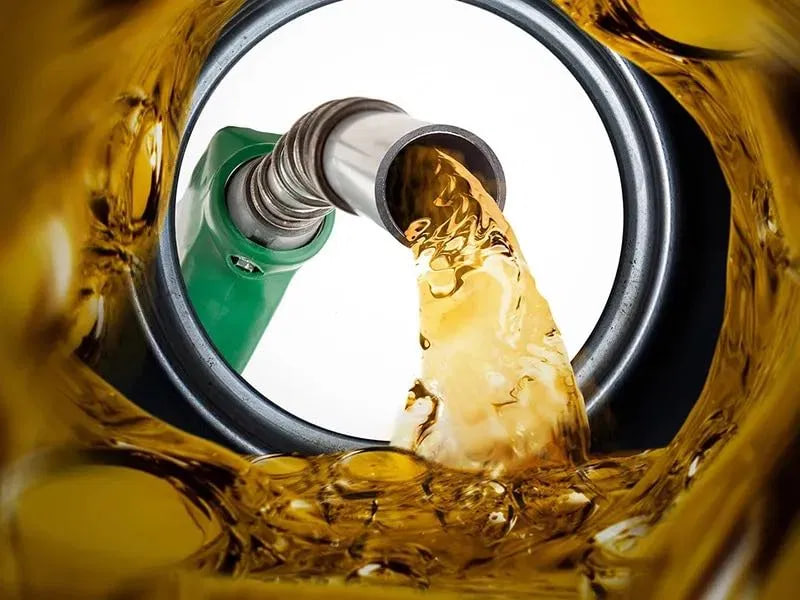 photo_2026-01-23_11-58-34_p77222