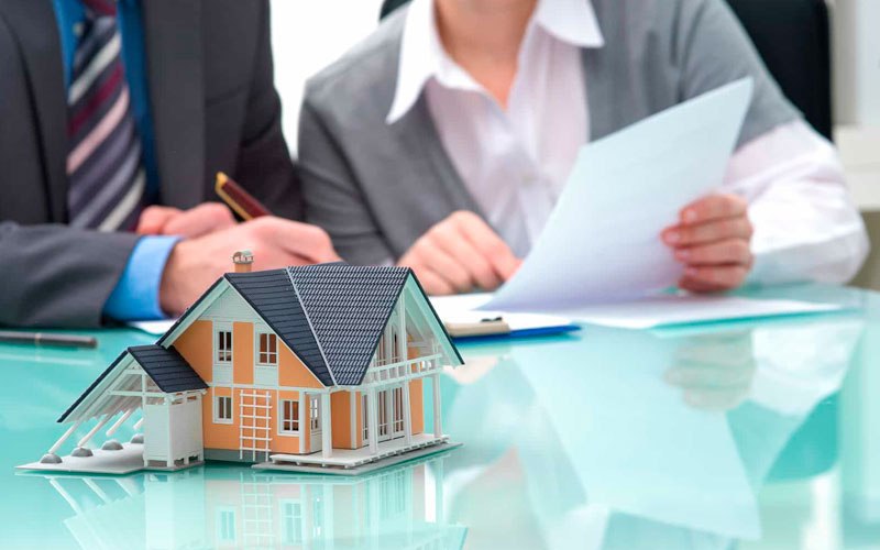 photo_2026-02-17_14-37-57_p41424