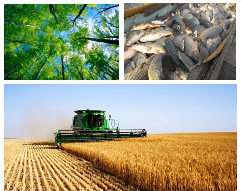 erteryhe5tyhwtwrqrq28_05_2024